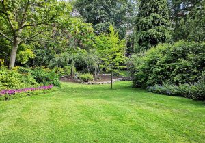Optimiser l'expérience du jardin à Puy-du-Lac